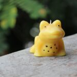 Frog designed candle