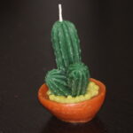 Cactus - 1