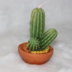 Cactus candle ( Big )